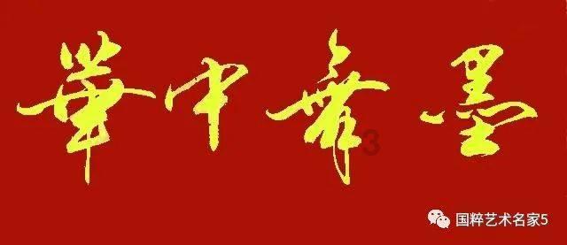 张馨予罕见衣帽间，乍一看以为在商场里，陈列摆放像是服装店